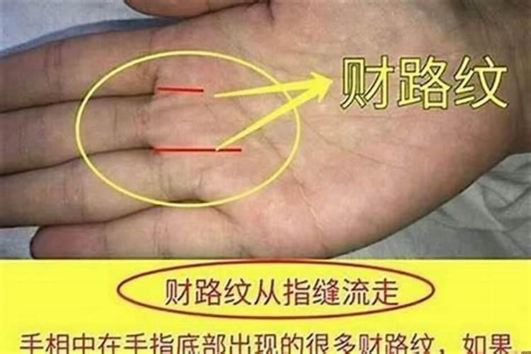 手真的能看出人的命运如何吗