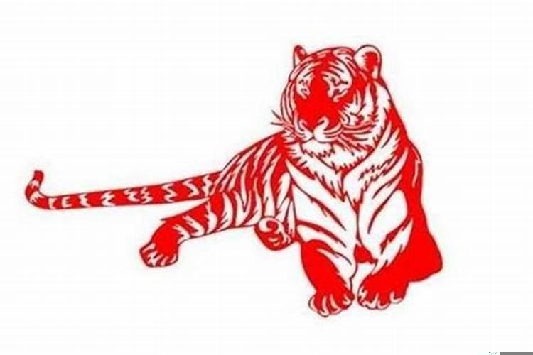 属虎人今年的财运