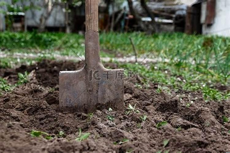 梦见用铲子铲土是什么意思啊