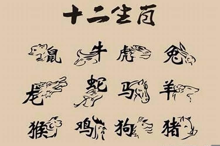 十二生肖一生躲不过的情劫