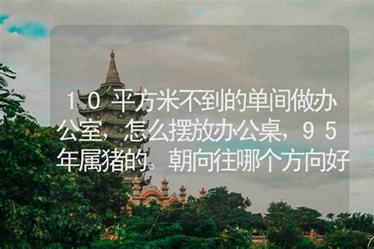 属猪的桌子上摆什么好