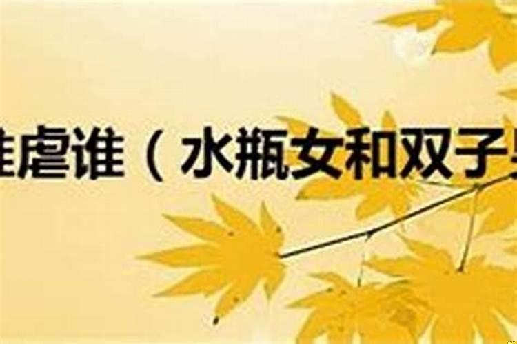 水瓶男爱上双子女