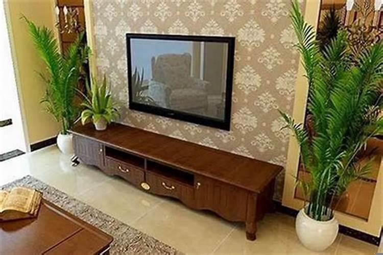 家里放什么招财运好