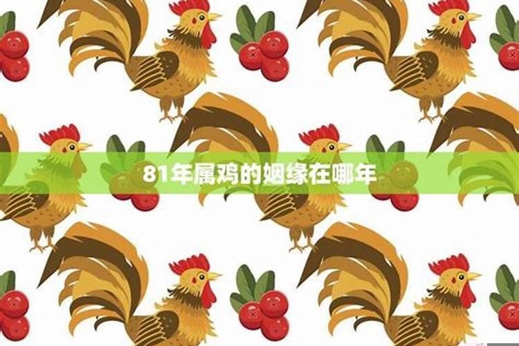 属鸡的最佳姻缘