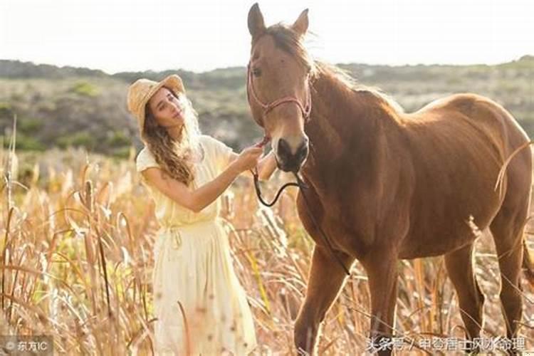 兔子跟猴子合得来吗