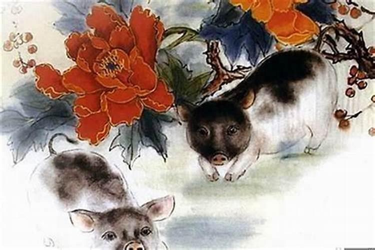 属猪人适合做什么生意红火