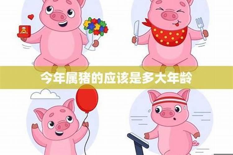 属兔的今年多大年龄2025