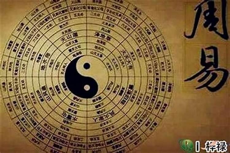 谁讲的八字最好