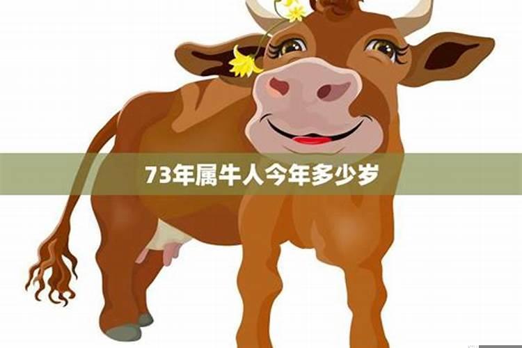 73年属牛的最大劫数