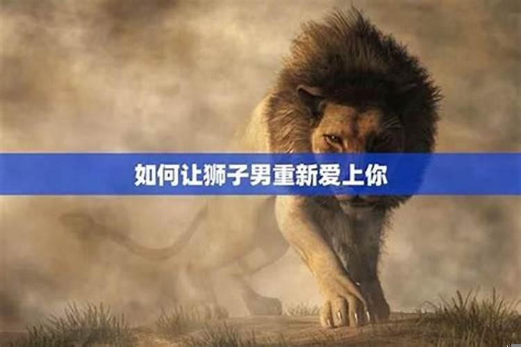 狮子男会主动联系你吗