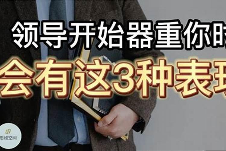 巨蟹男老板如何相处