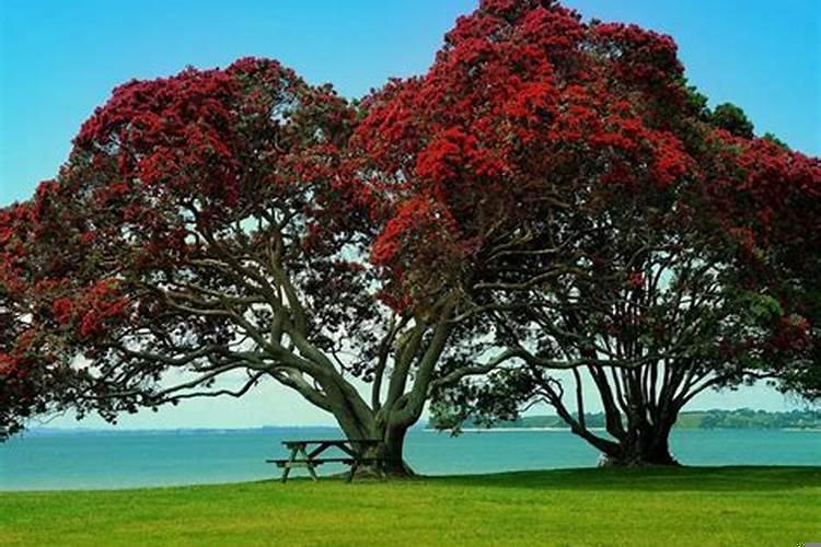 五行属水什么颜色旺财