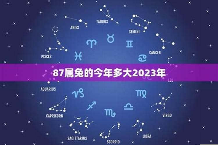 属兔的今年多大年龄2025