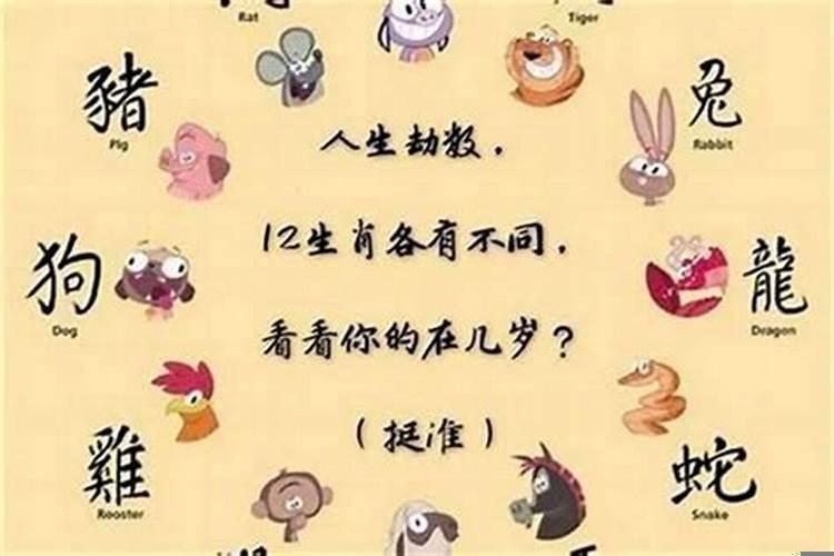 各个生肖的桃花劫年龄