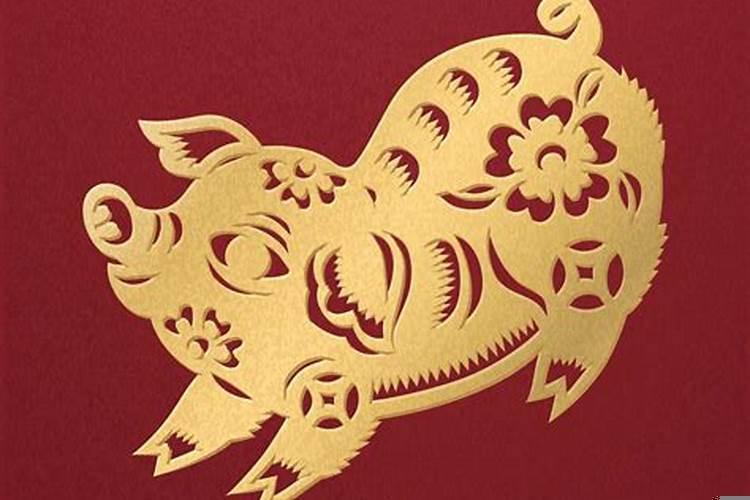 一家四口三个属龙的好不好