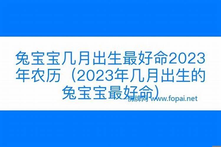2025年几月份的兔宝宝最好命
