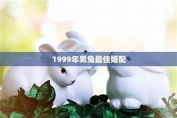 1999年兔和兔配婚姻好不好