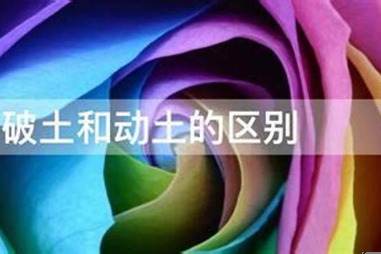 下葬属于动土吗