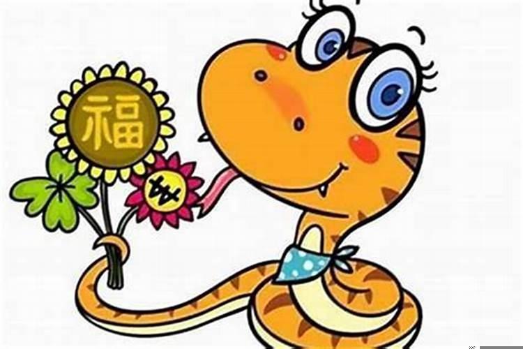 属兔人过了33岁运势