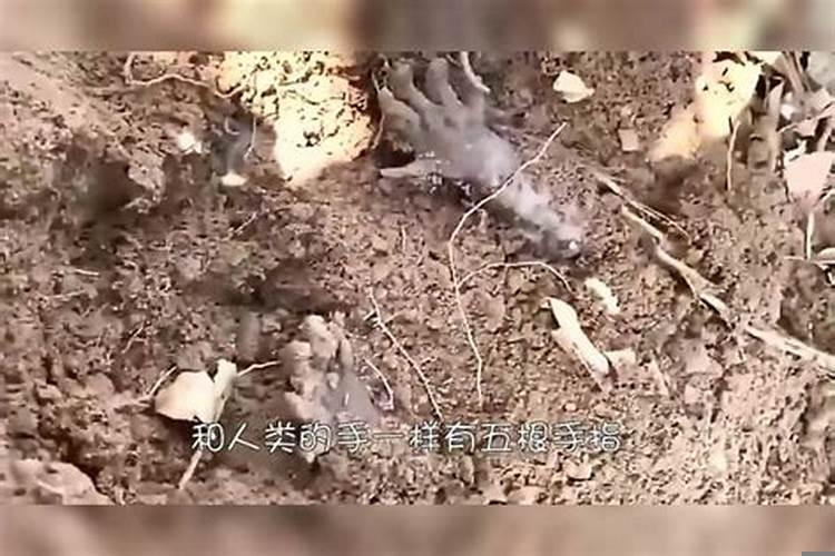 梦见双手沾满泥土