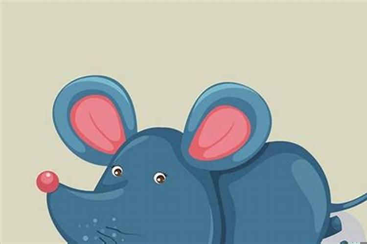 老鼠最怕什么味的东西