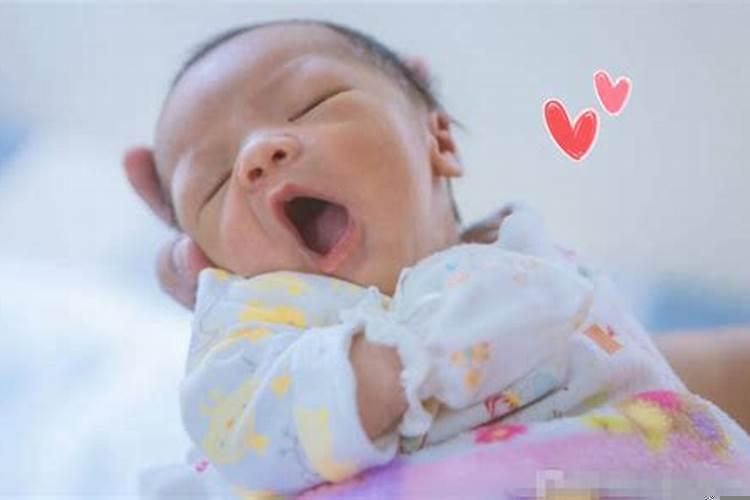 梦见超级大的老鼠的周公解梦