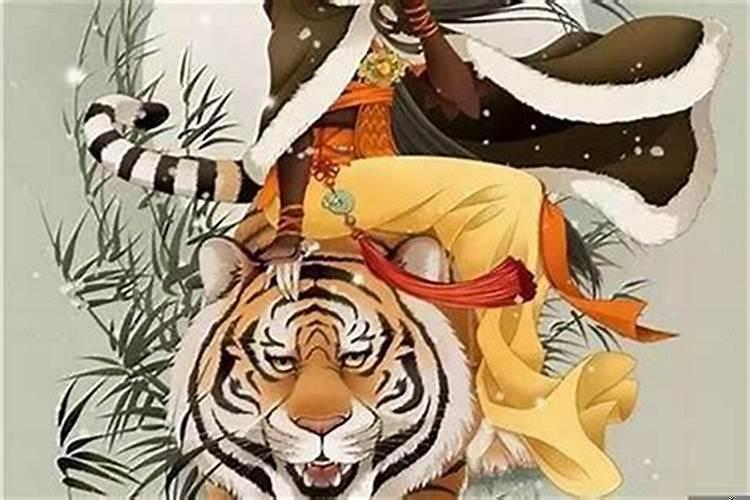 属虎人今后十年大运