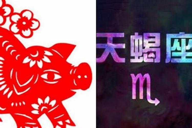 天蝎座属猪男今日运势