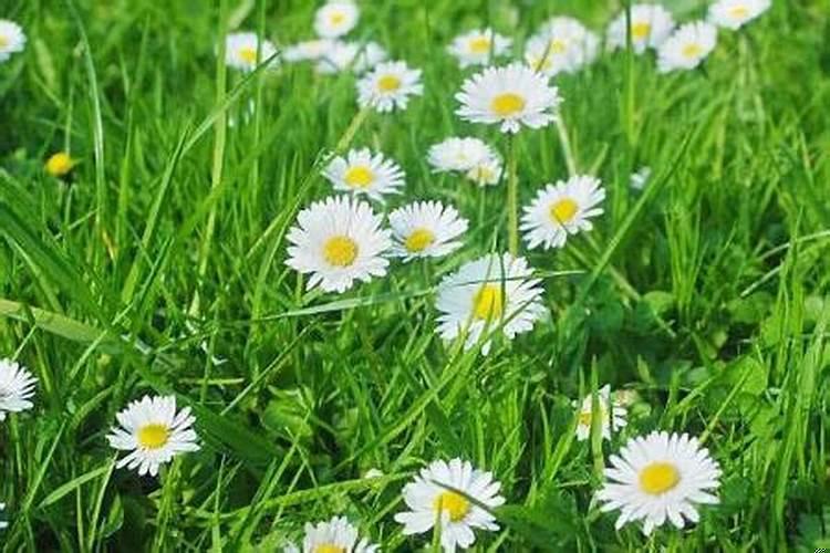 命硬的人命不好