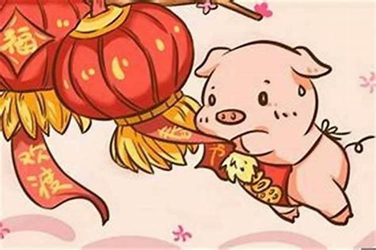 属猪的与属兔的相合吗