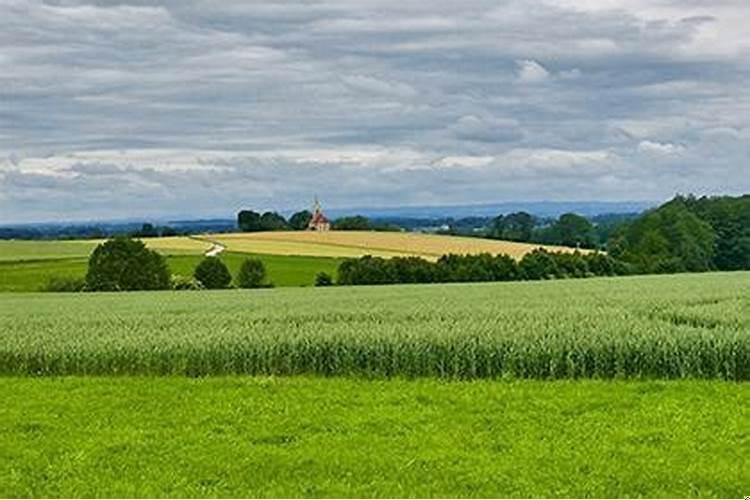 食神有印是什么意思