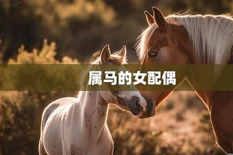 属马女性最佳配偶