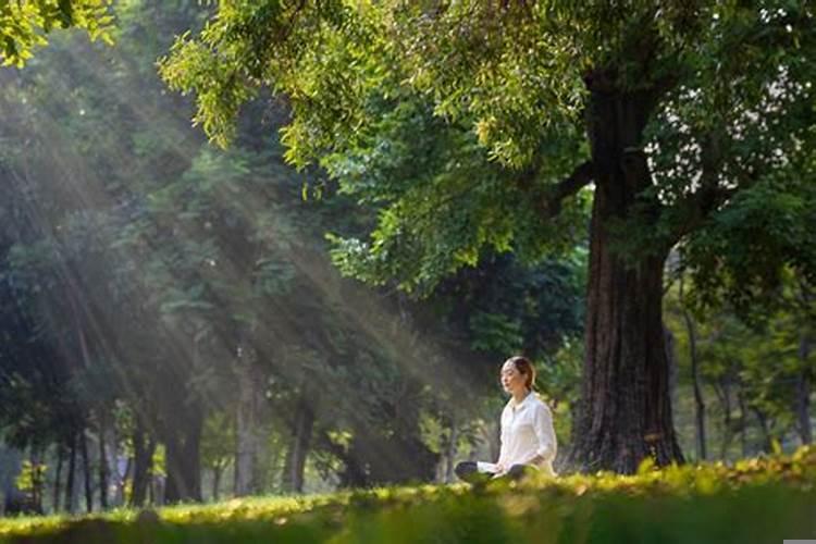 人生都是命运的安排吗