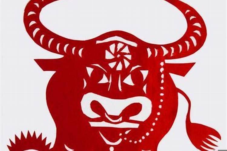 1997年属牛的本命年可以穿红色吗