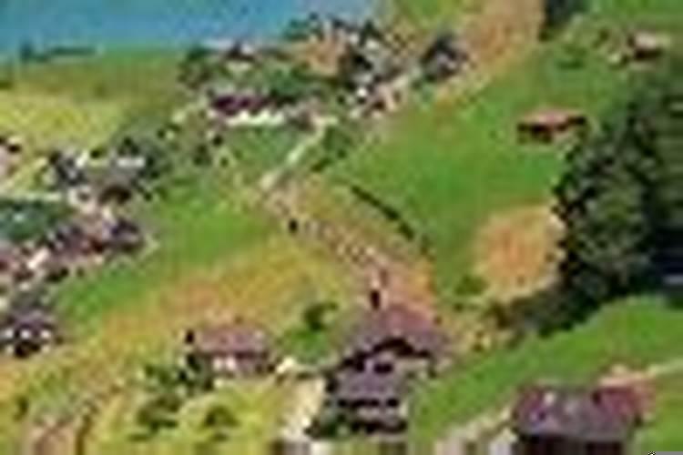 2019年属猪宝宝起名宜忌用字