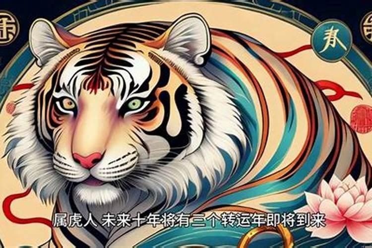 属虎人今后十年大运