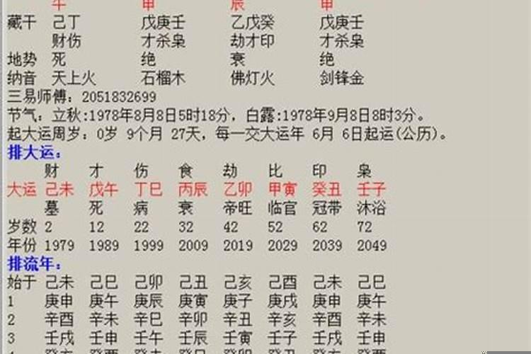 甲寅日柱财运如何