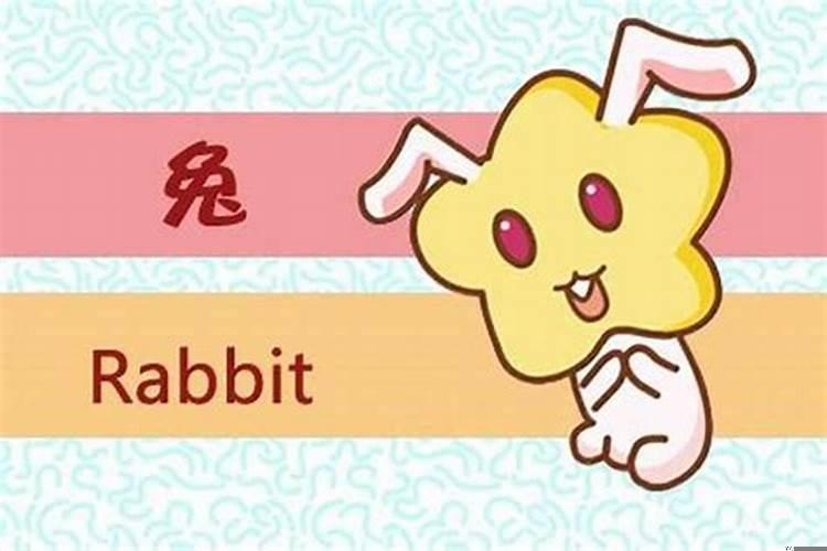 属猪的与属兔的相合吗