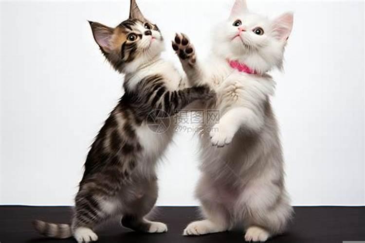 梦到亲人被手铐铐起来了