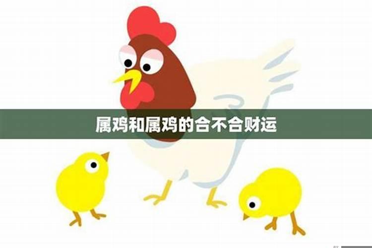 属鸡和属鸡的合不合财运