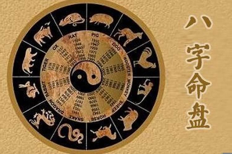 丙火命和甲木命