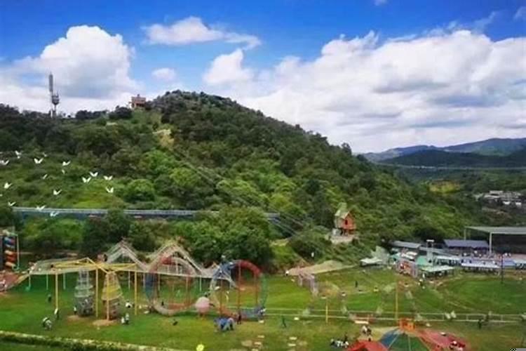 属虎的人穿什么颜色衣服好