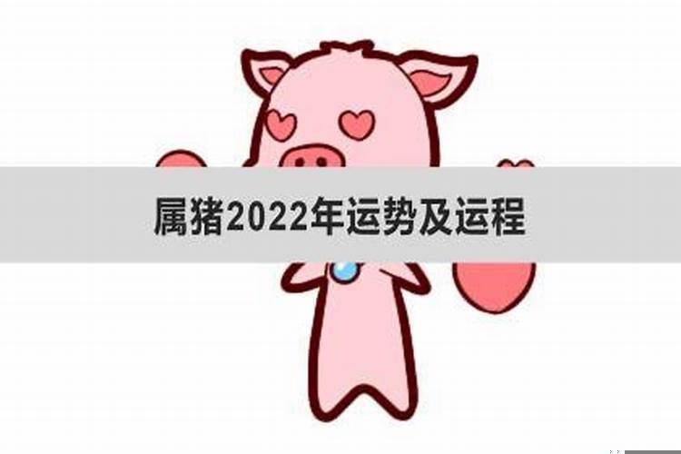 2022年运势如何