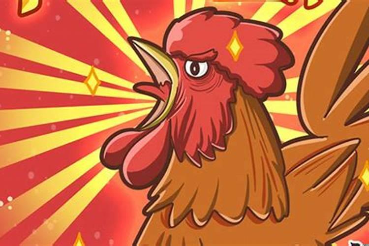 属鸡和属鸡的合不合财运