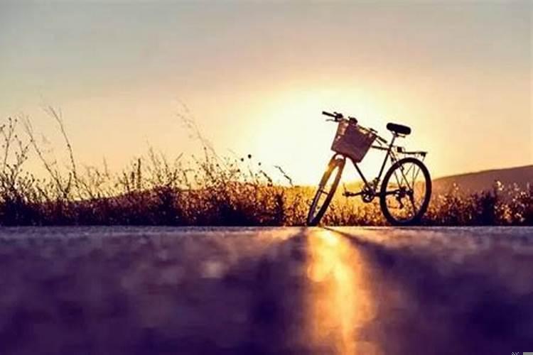 人生都是命运的安排吗