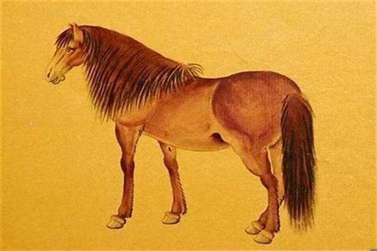 属马的人跟属狗的人结婚配吗