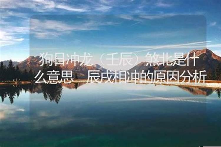 时冲鼠煞北是什么意思