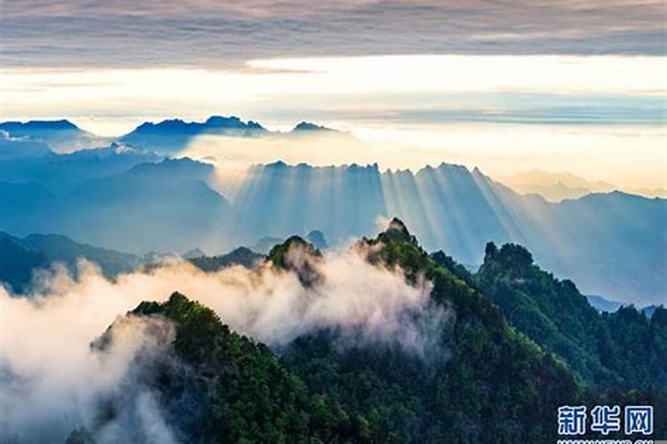 梦见山云雾缭绕