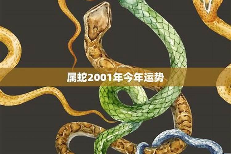 属蛇人2001年全年运势