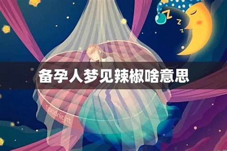 备孕的人梦到龙